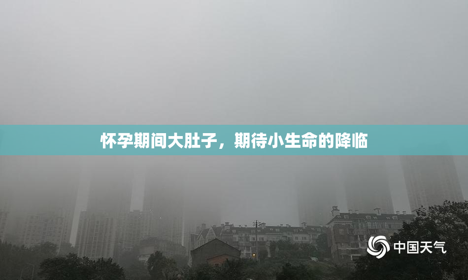怀孕期间大肚子，期待小生命的降临