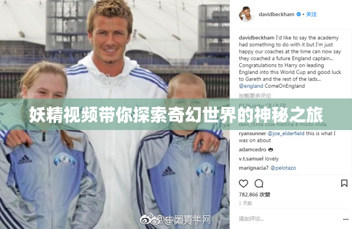 妖精视频带你探索奇幻世界的神秘之旅
