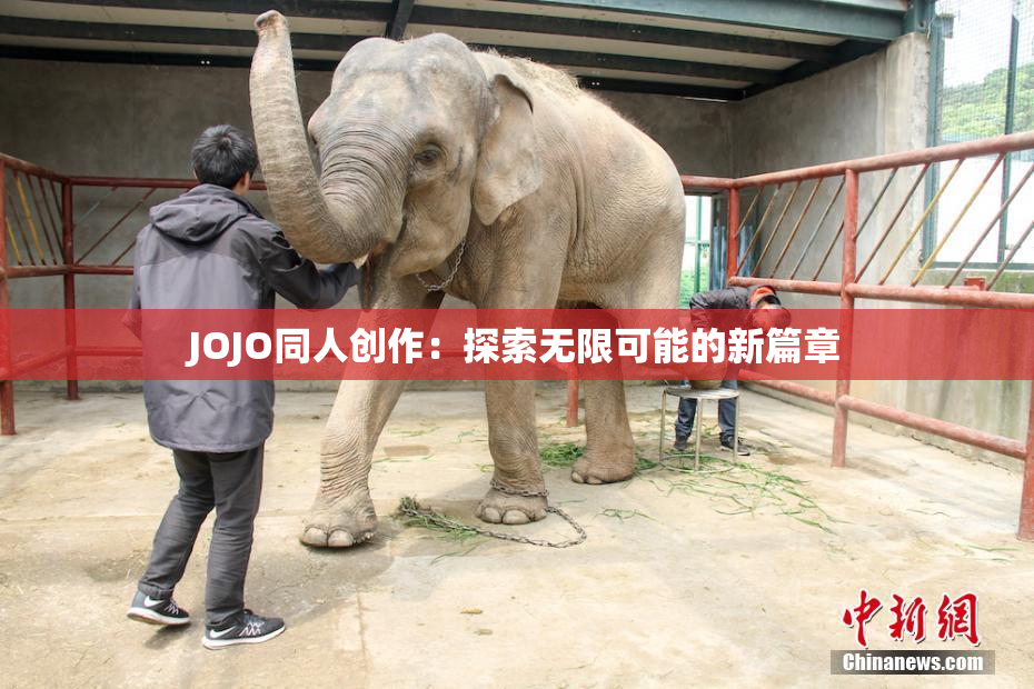 JOJO同人创作：探索无限可能的新篇章