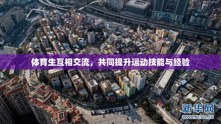 体育生互相交流，共同提升运动技能与经验