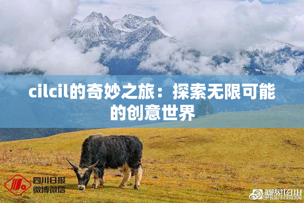 cilcil的奇妙之旅：探索无限可能的创意世界