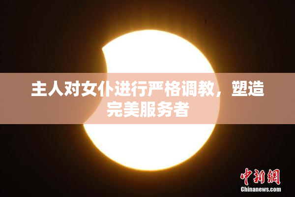 主人对女仆进行严格调教，塑造完美服务者