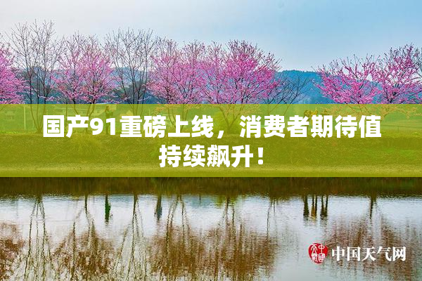 国产91重磅上线，消费者期待值持续飙升！