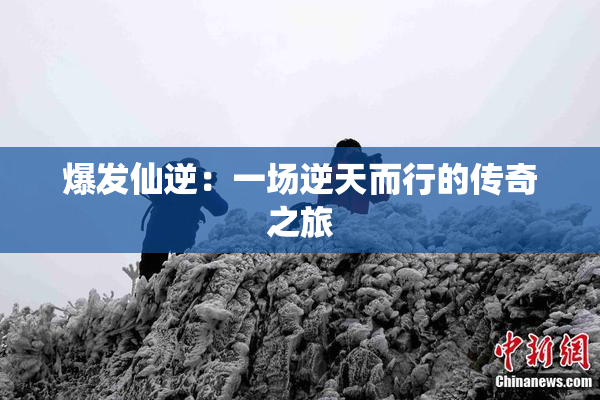 爆发仙逆：一场逆天而行的传奇之旅