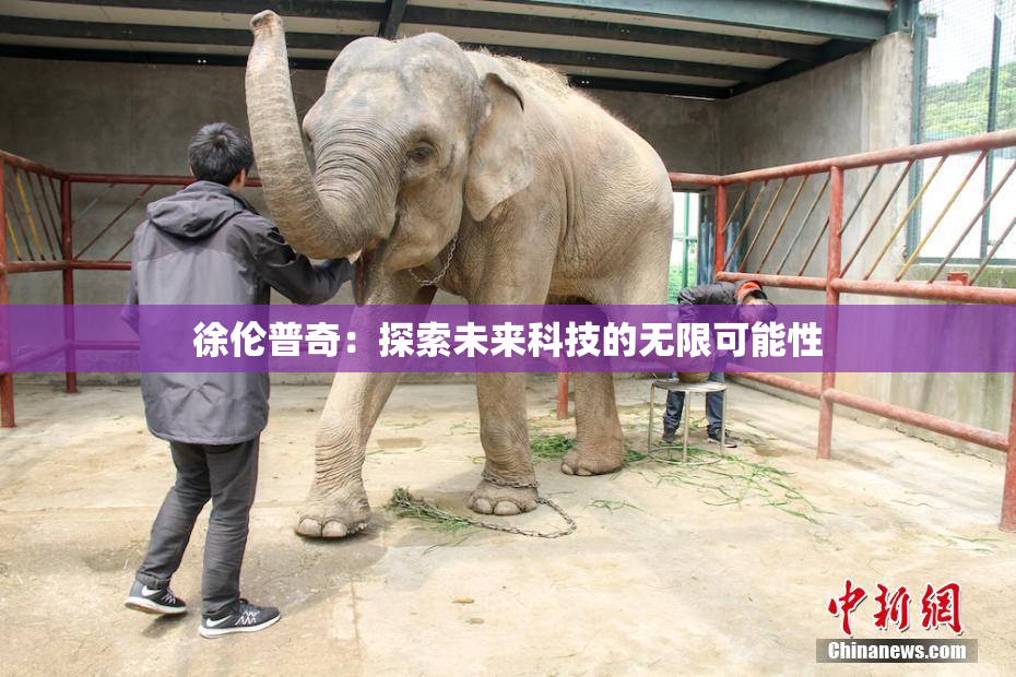 徐伦普奇：探索未来科技的无限可能性