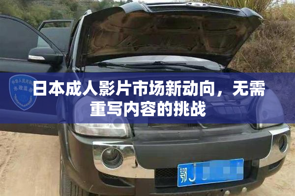 日本成人影片市场新动向，无需重写内容的挑战