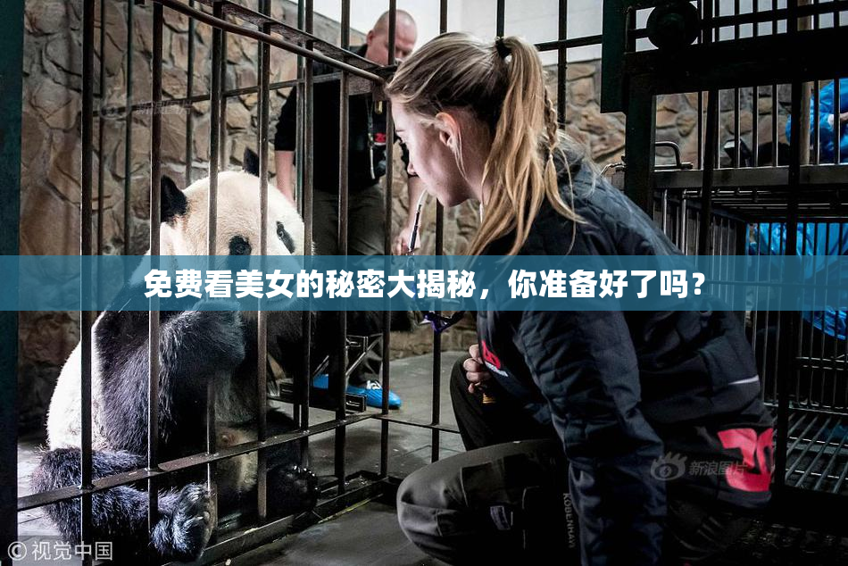 免费看美女的秘密大揭秘，你准备好了吗？