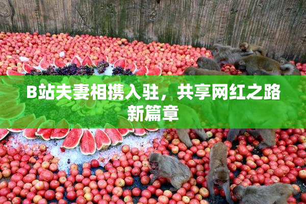 B站夫妻相携入驻，共享网红之路新篇章