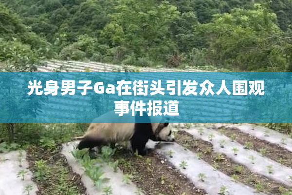 光身男子Ga在街头引发众人围观事件报道