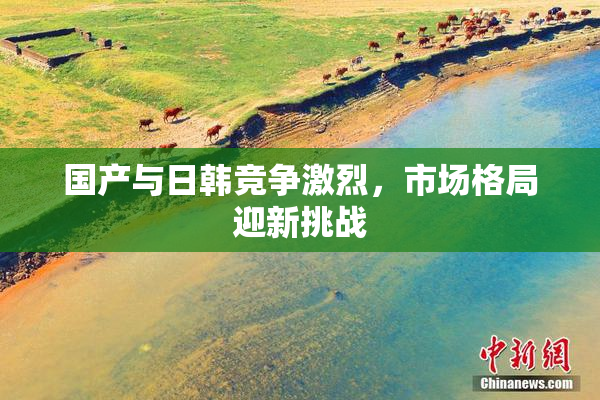 国产与日韩竞争激烈，市场格局迎新挑战