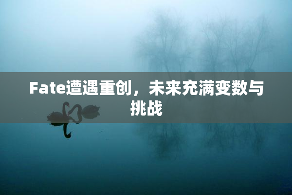 Fate遭遇重创，未来充满变数与挑战