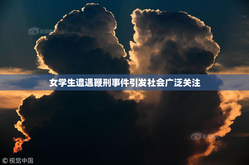 女学生遭遇鞭刑事件引发社会广泛关注