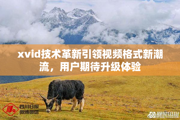 xvid技术革新引领视频格式新潮流，用户期待升级体验