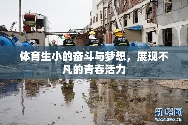 体育生小的奋斗与梦想，展现不凡的青春活力