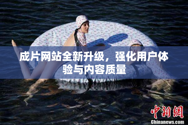 成片网站全新升级，强化用户体验与内容质量