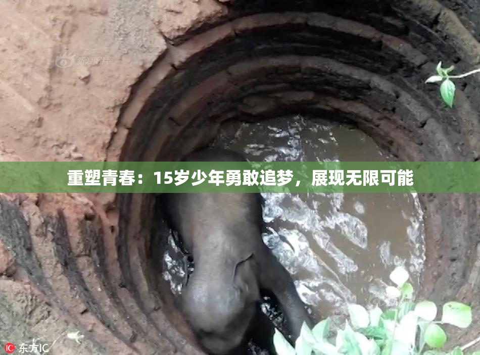 重塑青春：15岁少年勇敢追梦，展现无限可能