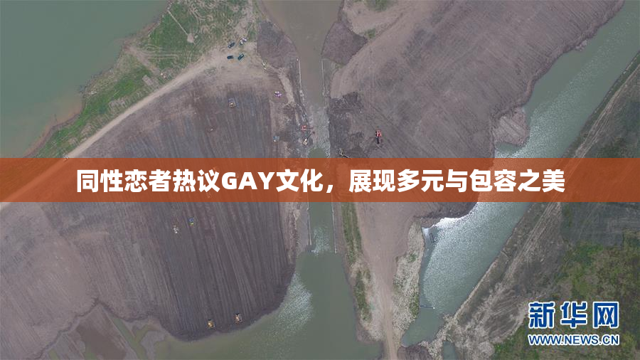 同性恋者热议GAY文化，展现多元与包容之美