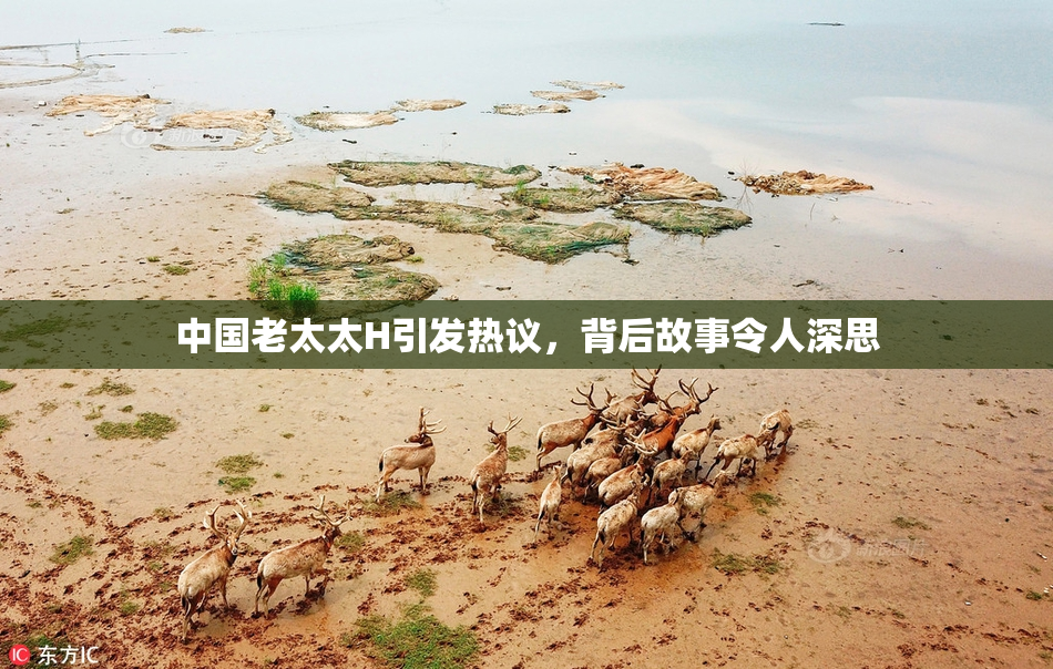 中国老太太H引发热议，背后故事令人深思