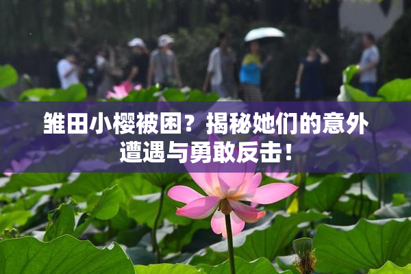 雏田小樱被困？揭秘她们的意外遭遇与勇敢反击！