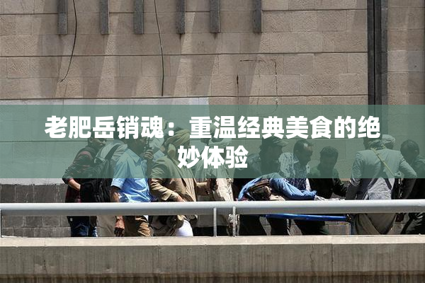 老肥岳销魂：重温经典美食的绝妙体验