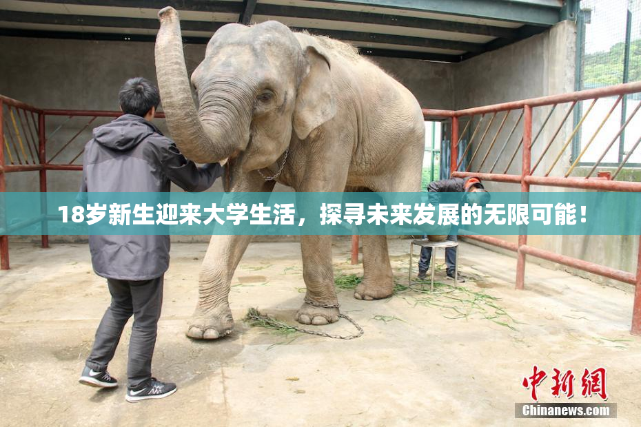 18岁新生迎来大学生活，探寻未来发展的无限可能！