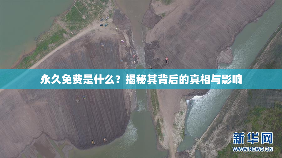 永久免费是什么？揭秘其背后的真相与影响