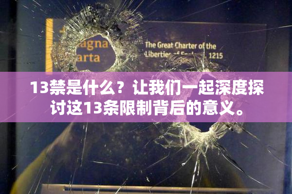 13禁是什么？让我们一起深度探讨这13条限制背后的意义。