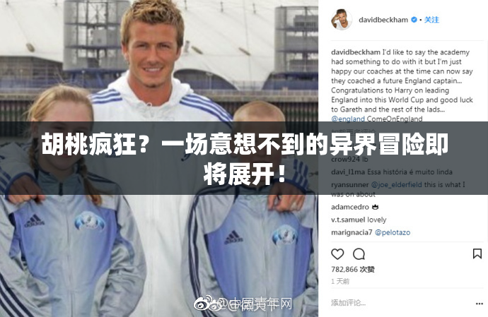 胡桃疯狂？一场意想不到的异界冒险即将展开！