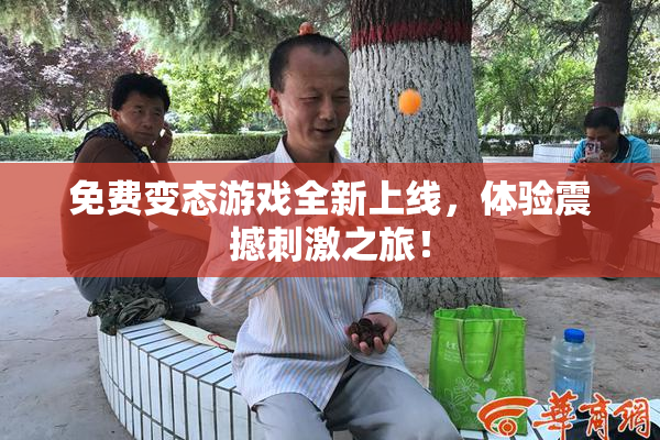 免费变态游戏全新上线，体验震撼刺激之旅！