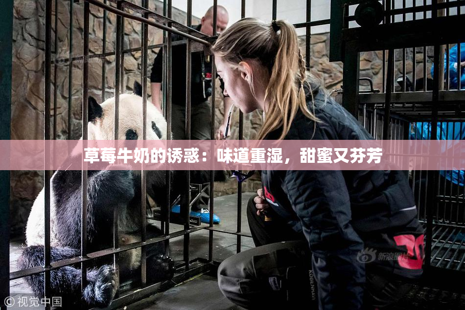 草莓牛奶的诱惑：味道重湿，甜蜜又芬芳