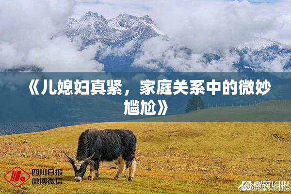 《儿媳妇真紧，家庭关系中的微妙尴尬》