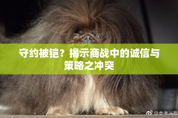 守约被铠？揭示商战中的诚信与策略之冲突