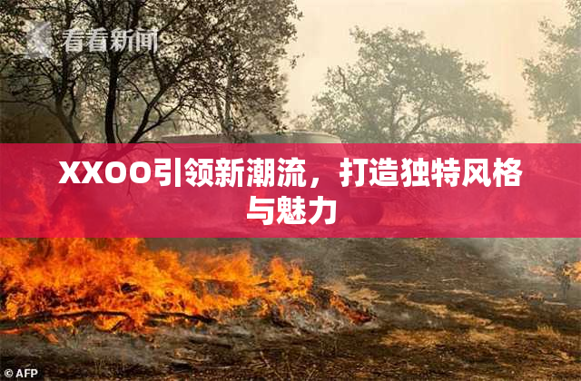 XXOO引领新潮流，打造独特风格与魅力