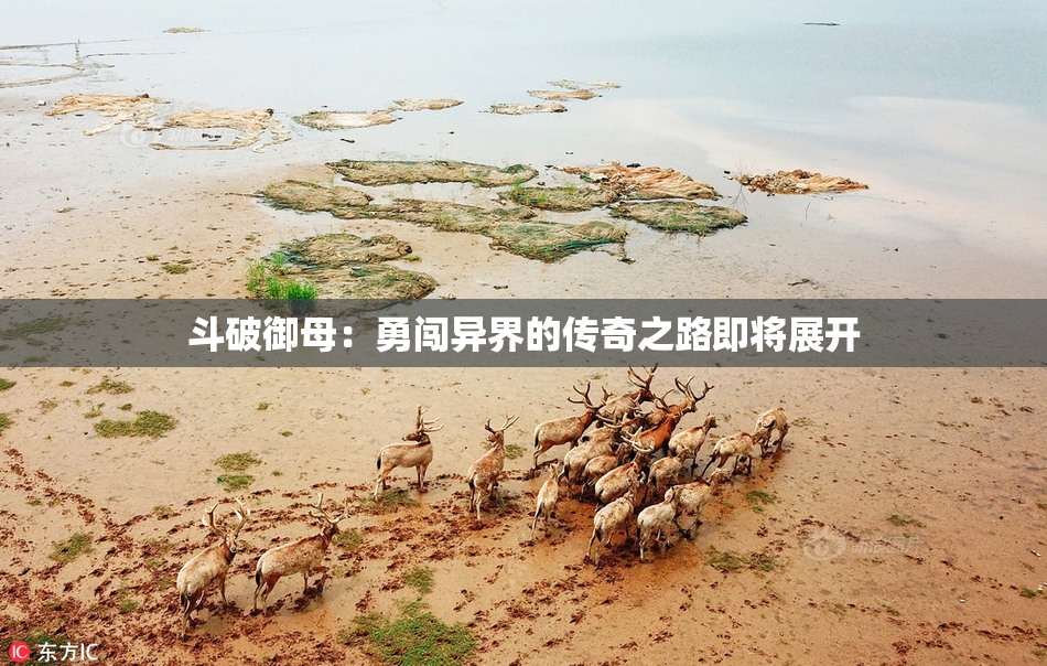 斗破御母：勇闯异界的传奇之路即将展开