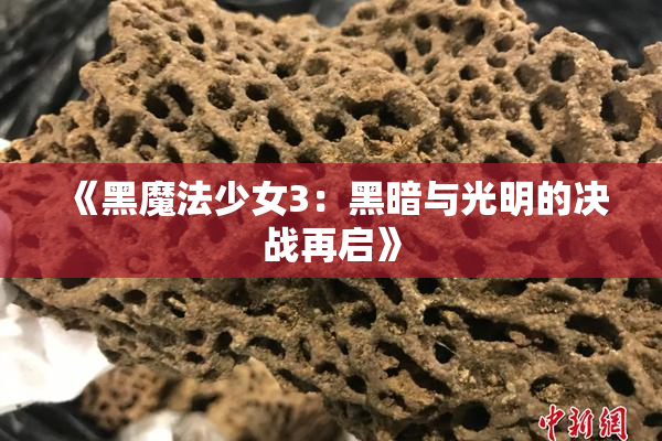 《黑魔法少女3：黑暗与光明的决战再启》