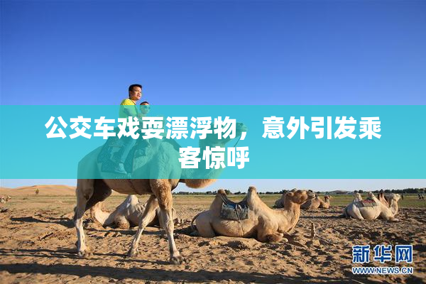 公交车戏耍漂浮物，意外引发乘客惊呼