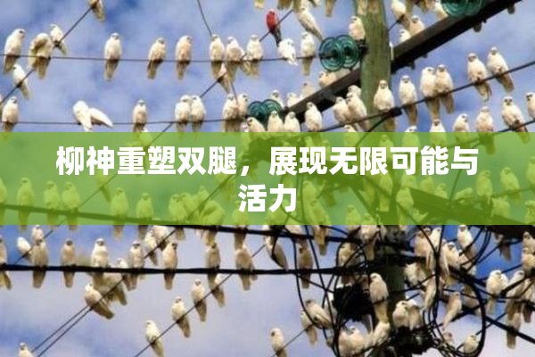 柳神重塑双腿，展现无限可能与活力