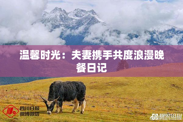 温馨时光：夫妻携手共度浪漫晚餐日记
