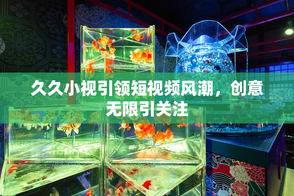 久久小视引领短视频风潮，创意无限引关注