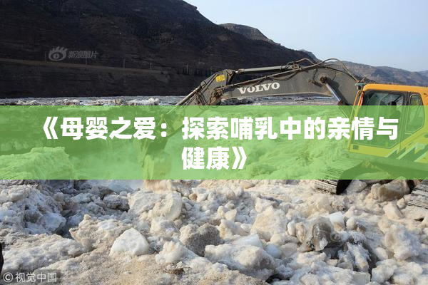 《母婴之爱：探索哺乳中的亲情与健康》