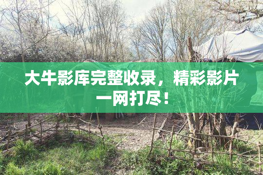大牛影库完整收录，精彩影片一网打尽！