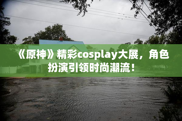 《原神》精彩cosplay大展，角色扮演引领时尚潮流！