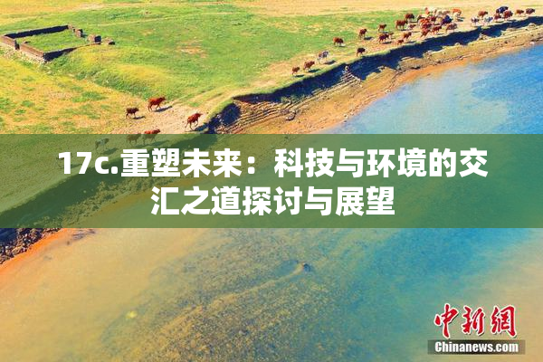 17c.重塑未来：科技与环境的交汇之道探讨与展望