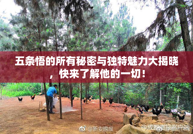 五条悟的所有秘密与独特魅力大揭晓，快来了解他的一切！