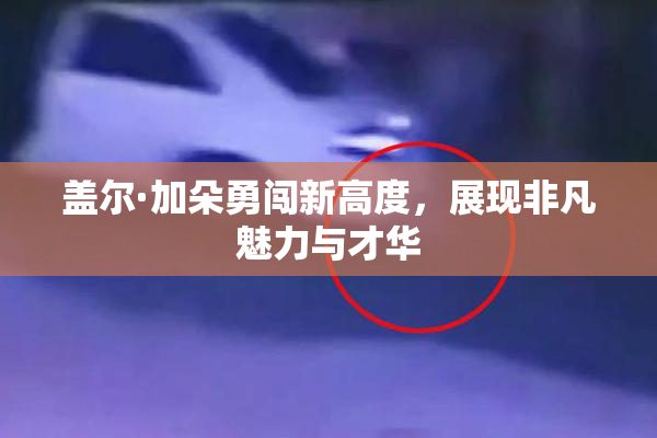 盖尔·加朵勇闯新高度，展现非凡魅力与才华