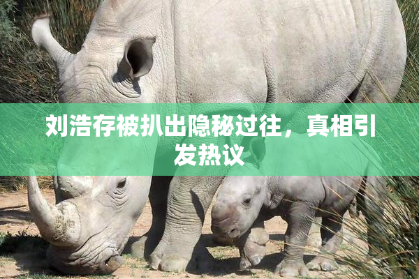 刘浩存被扒出隐秘过往，真相引发热议
