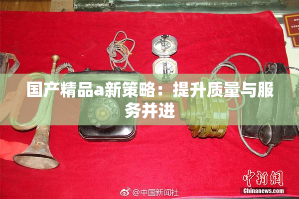 国产精品a新策略：提升质量与服务并进