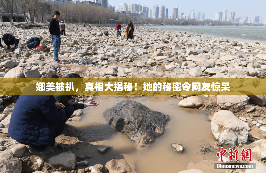 娜美被扒，真相大揭秘！她的秘密令网友惊呆