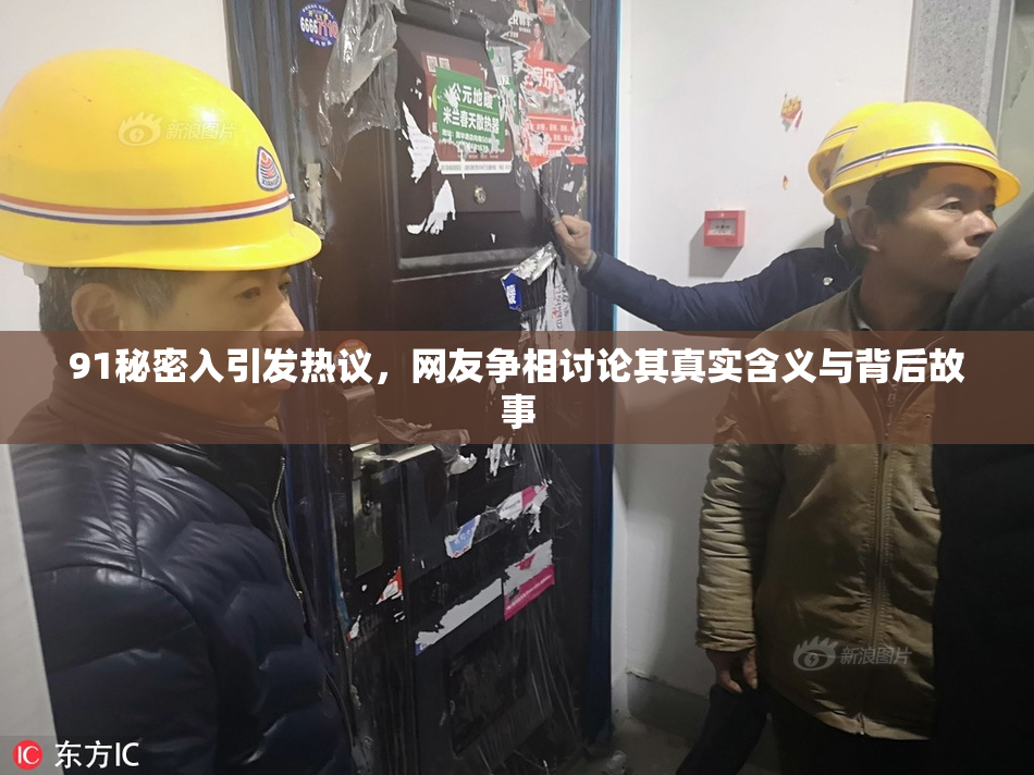 91秘密入引发热议，网友争相讨论其真实含义与背后故事