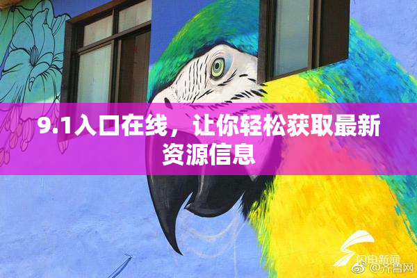 9.1入口在线，让你轻松获取最新资源信息